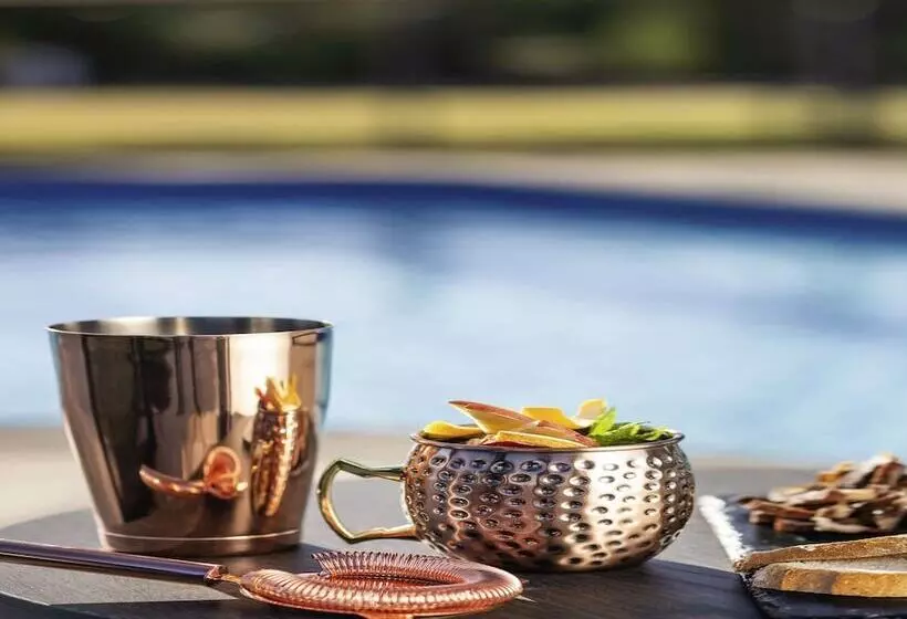 Fotos del hotel Safari Court  Managed By Accor:  18