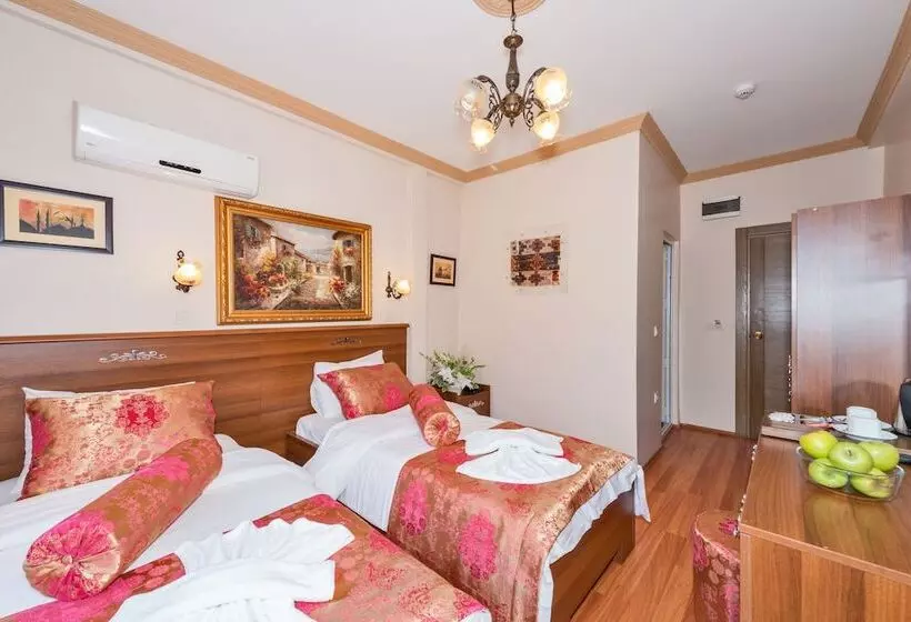 Fotos del hotel Turgut:  11