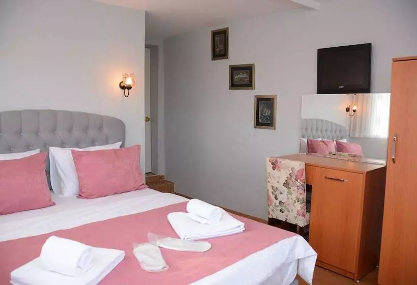 Fotos del hotel Turgut:  9