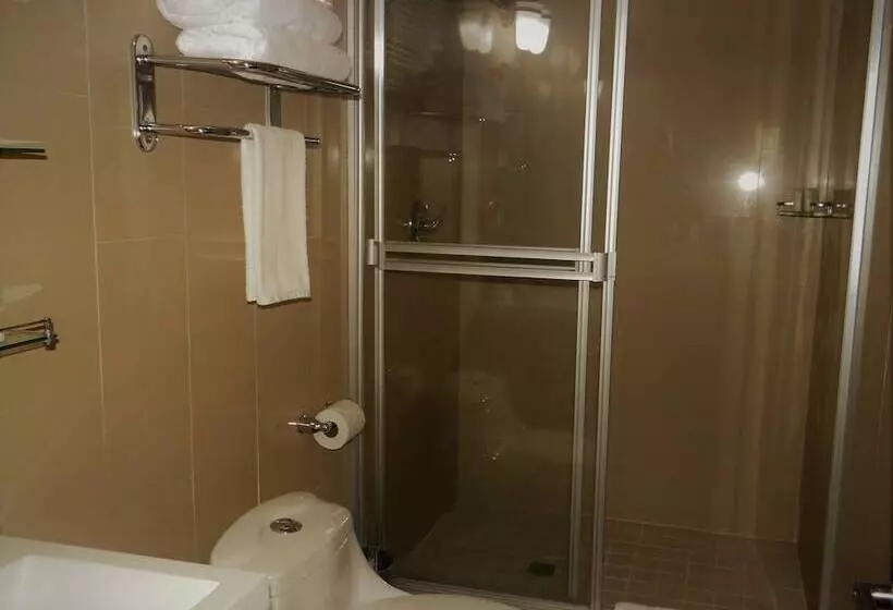 Fotos del hotel Metro  Panama:  6