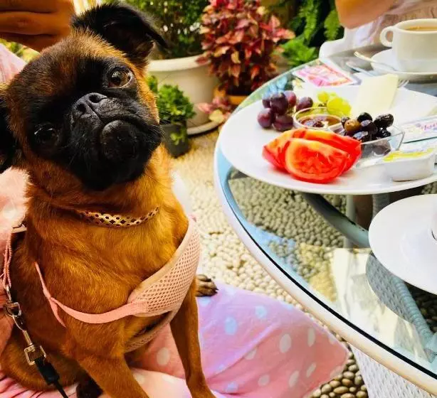 Fotos del hotel Kaleiçi:  9