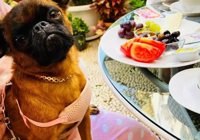 Fotos del hotel Kaleiçi:  4