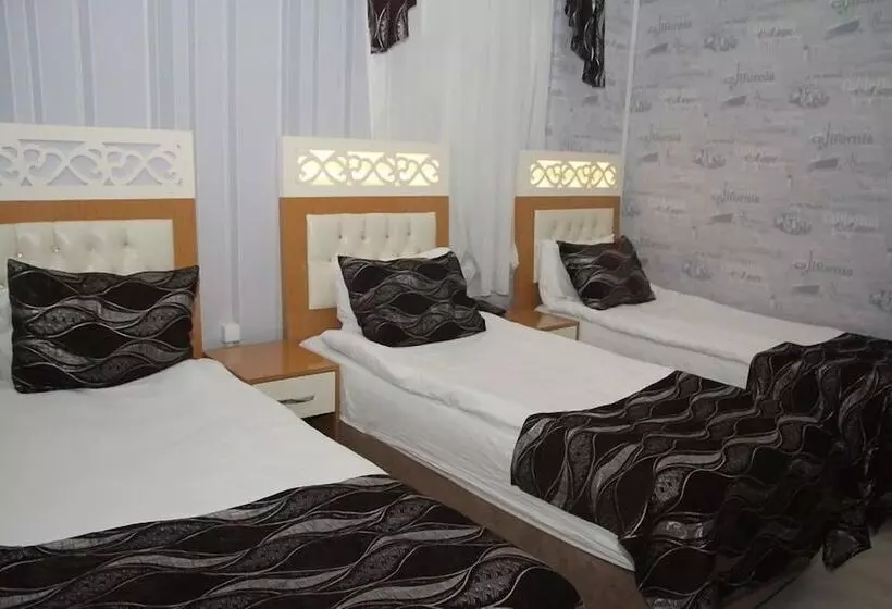 Fotos del hotel Vatan:  14