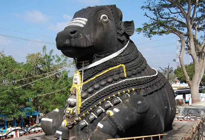 Fotos del hotel Goldfinch Retreat:  3