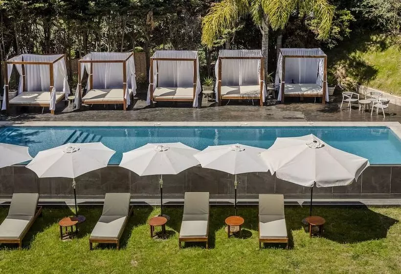 Fotos del hotel Sisai  Boutique:  25