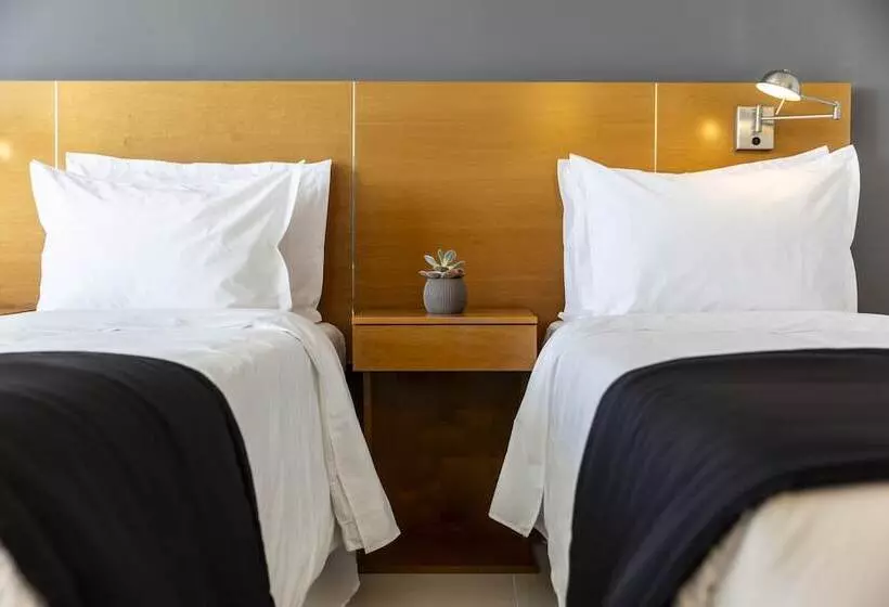 Fotos del hotel Sisai  Boutique:  10