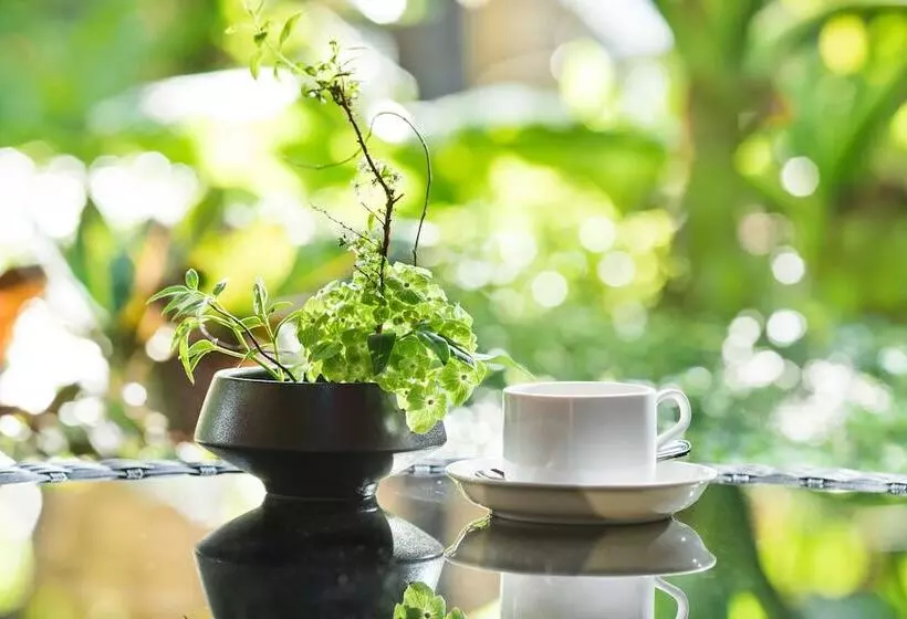 Fotos del hotel Metro Grand:  8