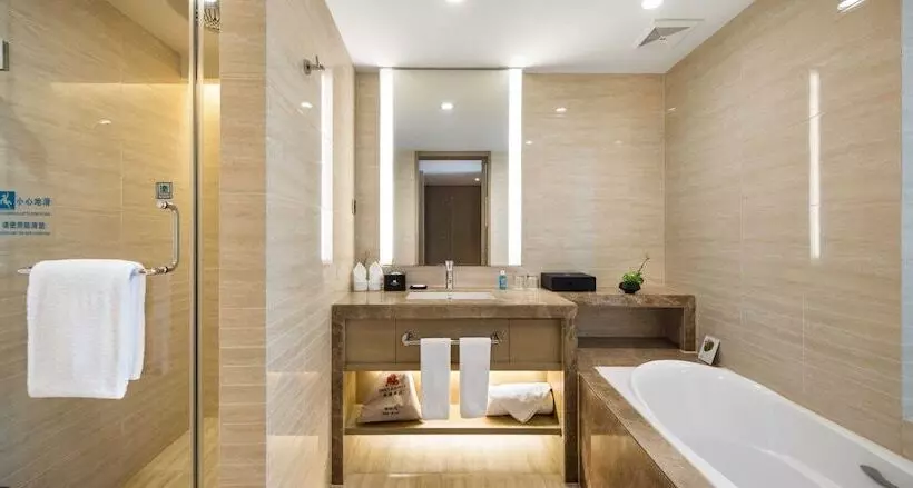 Fotos del hotel Metro Grand:  18