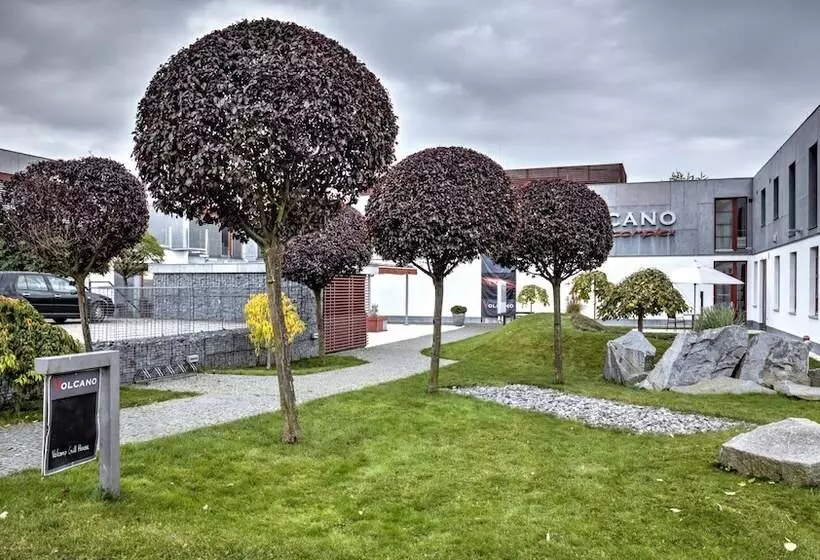 Fotos del hotel Volcano Spa Hotel:  14