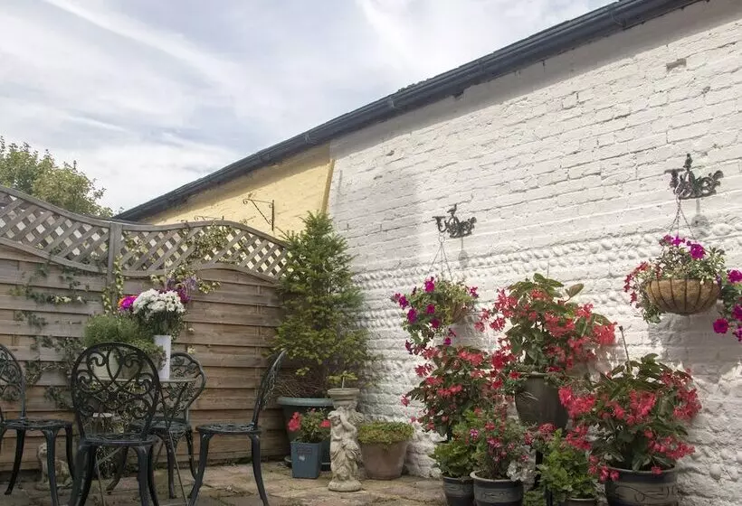 Fotos del hotel Albert & Victoria:  9