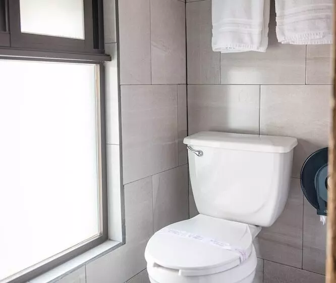 Fotos del hotel Estefania:  8