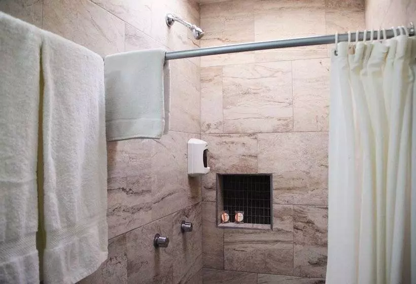 Fotos del hotel Estefania:  11