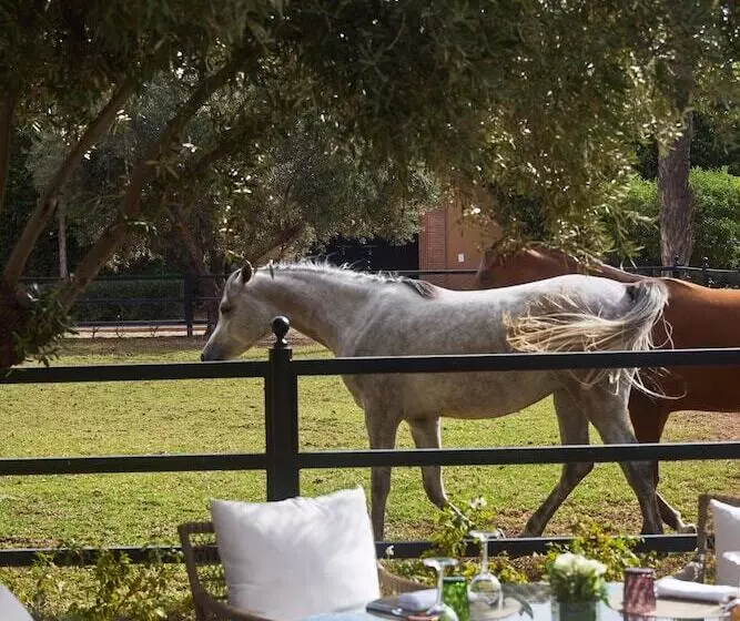 Fotos del hotel Selman Marrakech:  22