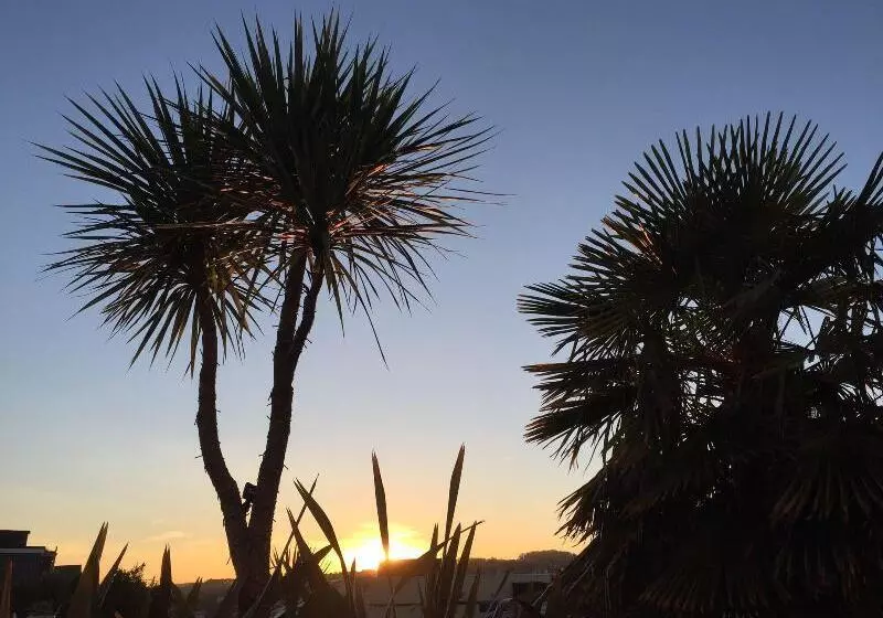 Fotos del hotel The Cimon:  16