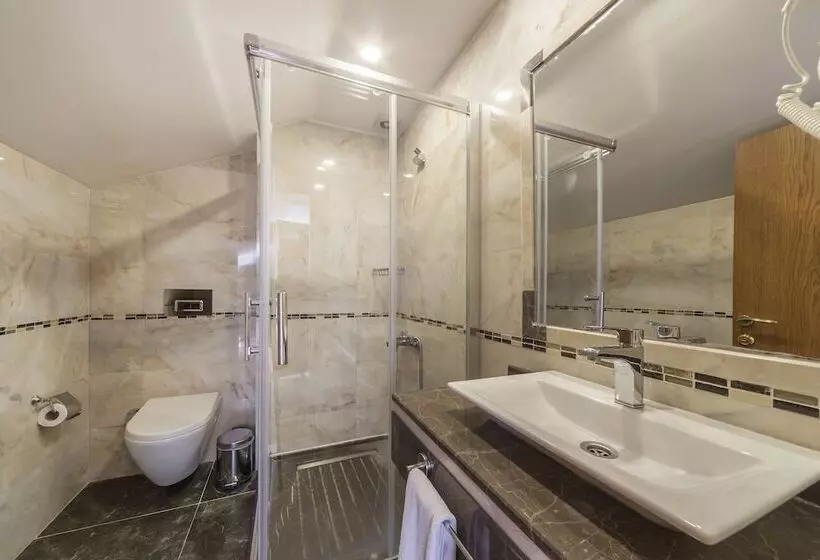 Fotos del hotel Lalinn:  4