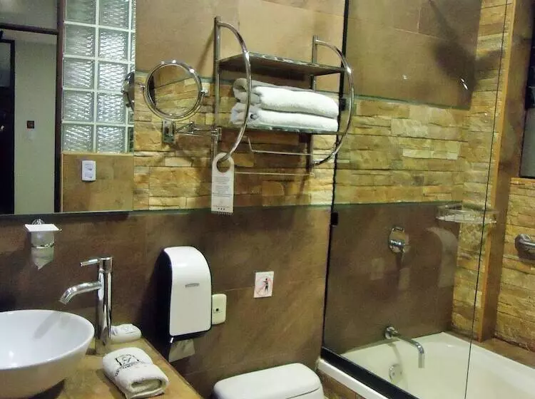 Fotos del hotel San Francisco Plaza Hotel:  17