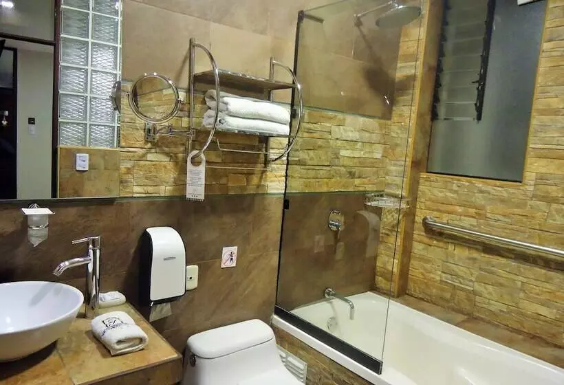 Fotos del hotel San Francisco Plaza Hotel:  11