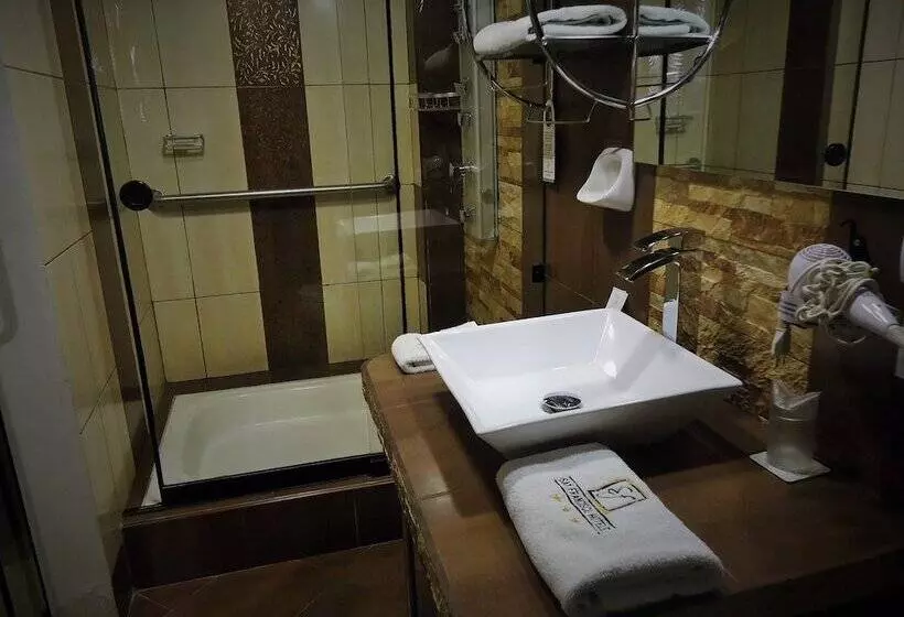 Fotos del hotel San Francisco Plaza Hotel:  14