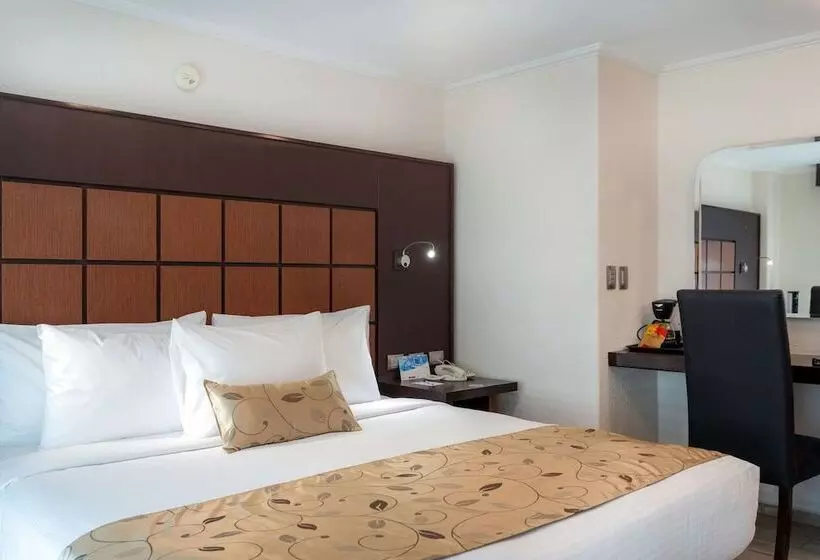 Fotos del hotel Loa Inn Centro Puebla:  20