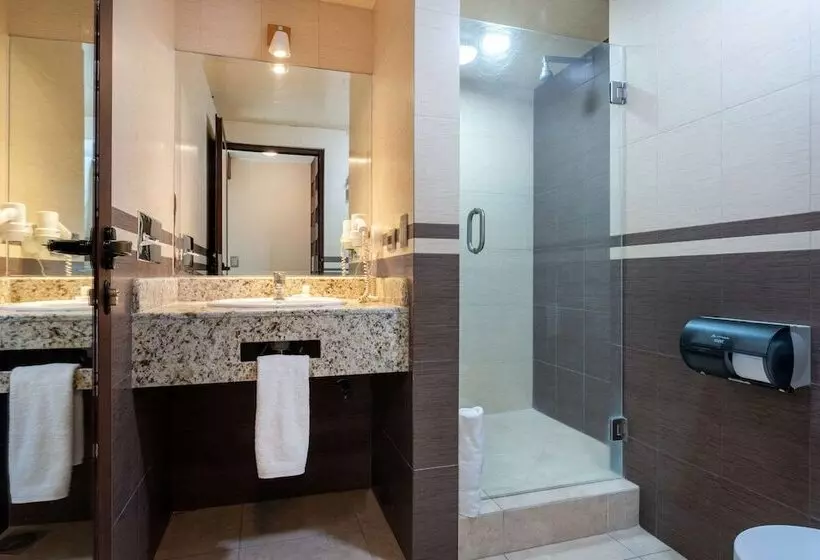 Fotos del hotel Loa Inn Centro Puebla:  12