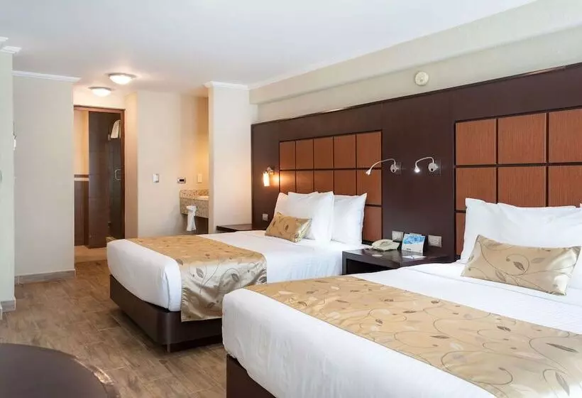 Fotos del hotel Loa Inn Centro Puebla:  8