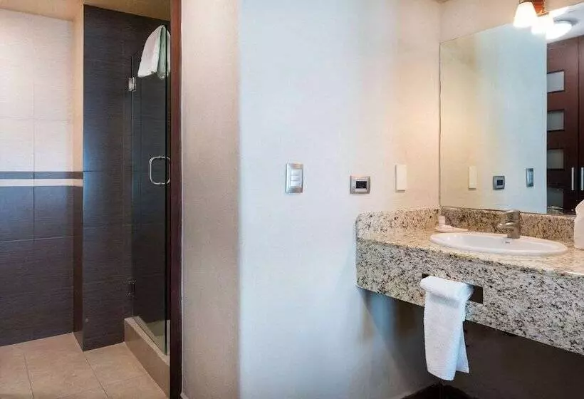 Fotos del hotel Loa Inn Centro Puebla:  23