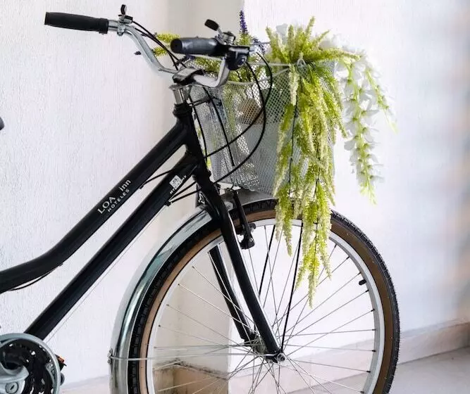 Fotos del hotel Loa Inn Centro Puebla:  6