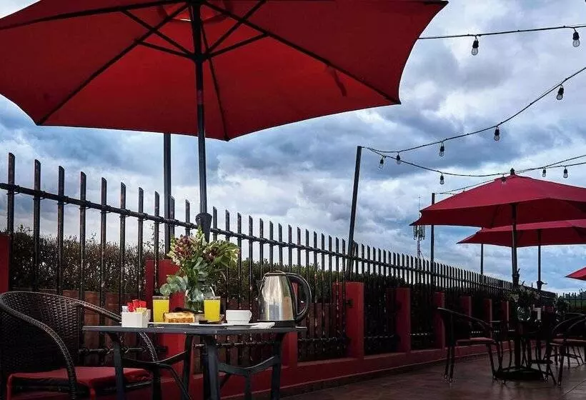 Fotos del hotel Loa Inn Centro Puebla:  4