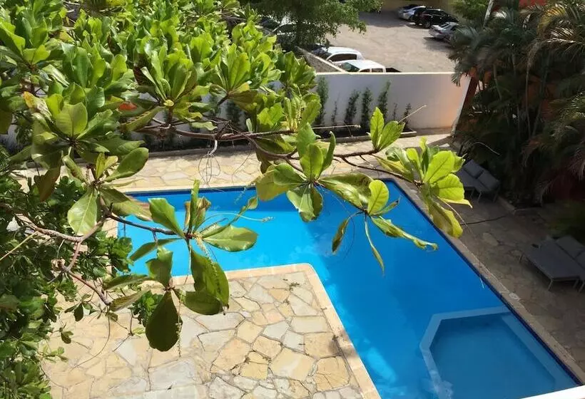 Fotos del hotel Alicia Beach:  12