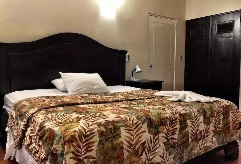 Fotos del hotel Alicia Beach:  17