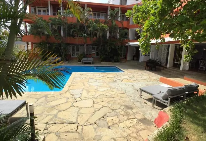 Fotos del hotel Alicia Beach:  4