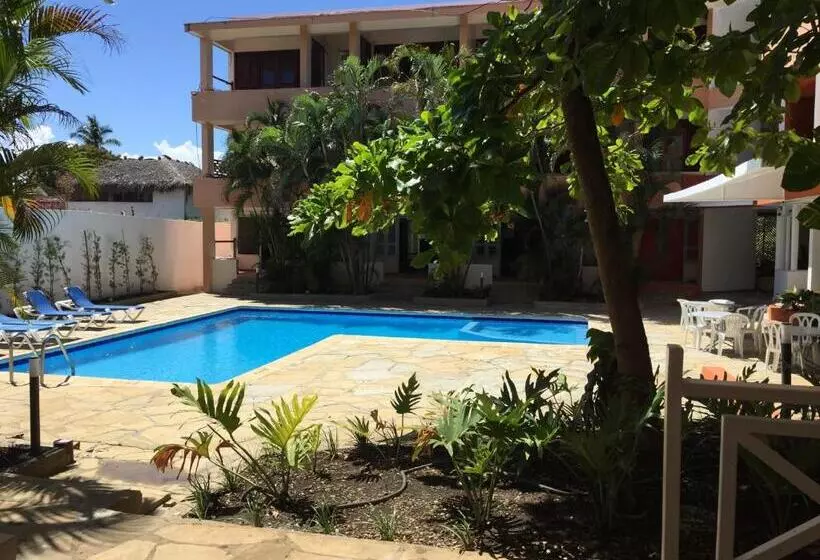 Fotos del hotel Alicia Beach:  14