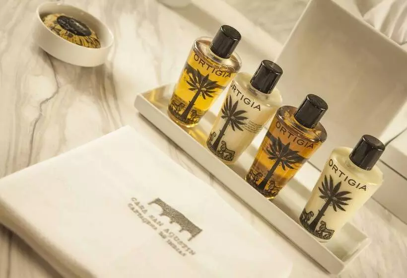 Fotos del hotel Casa San Agustin:  21