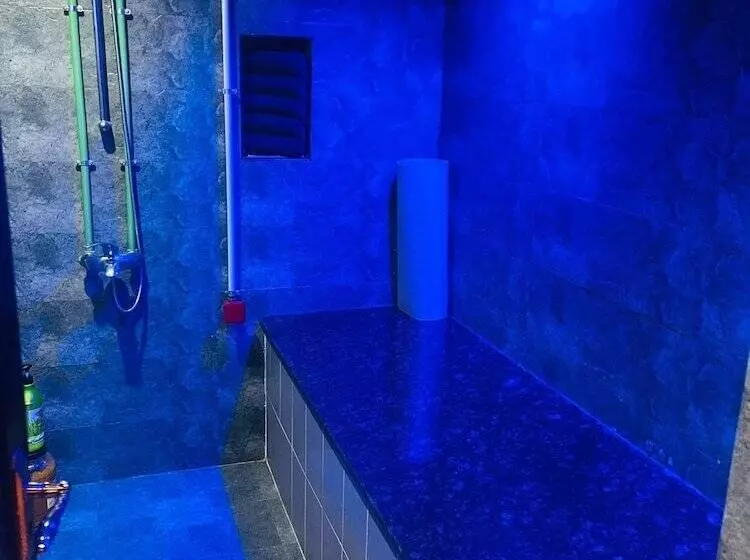 Fotos del hotel Delmon Palace:  6