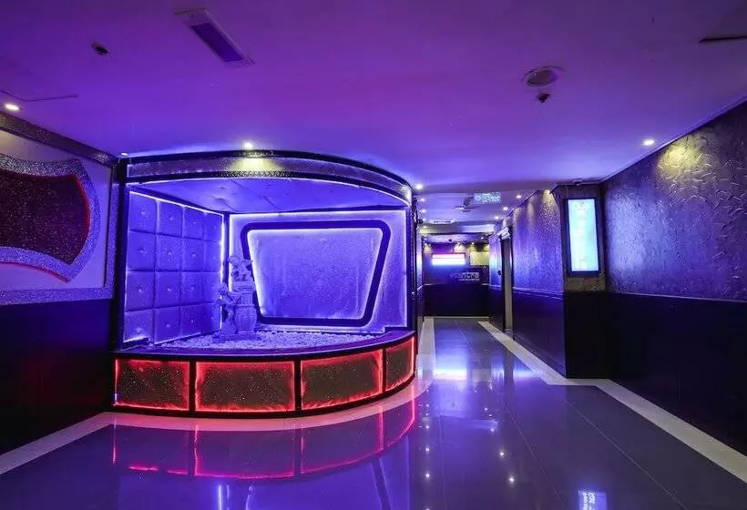 Fotos del hotel Delmon Palace:  15