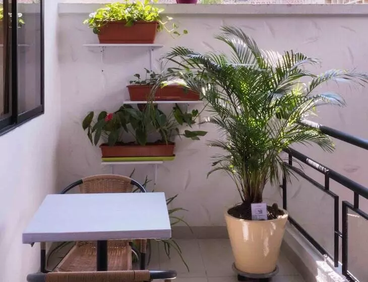 Fotos del hotel Quinta Avenida:  13