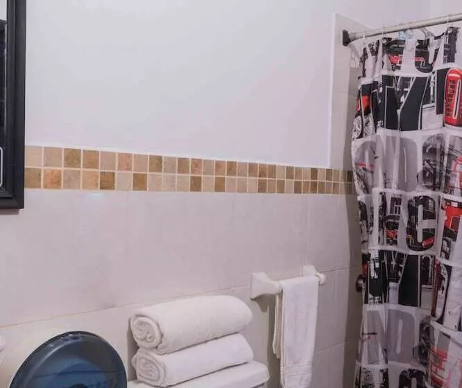 Fotos del hotel Quinta Avenida:  7