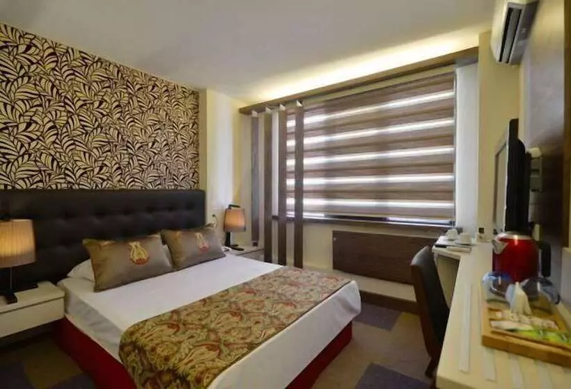 Fotos del hotel Arsima:  16