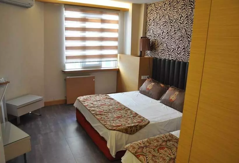 Fotos del hotel Arsima:  9