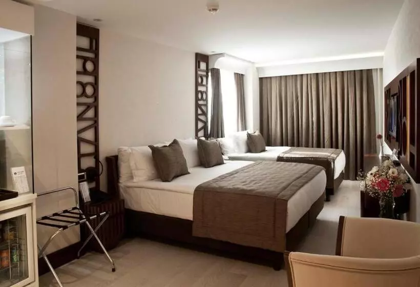 Fotos del hotel Victory Hotel & Spa Istanbul:  2