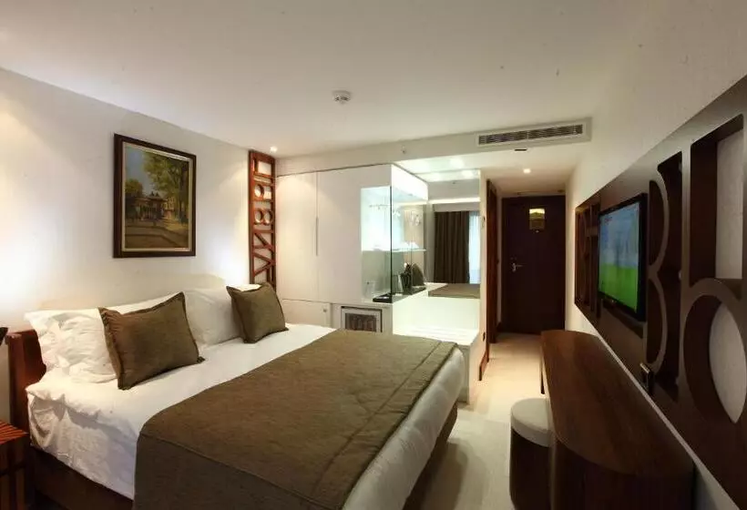 Fotos del hotel Victory Hotel & Spa Istanbul:  7