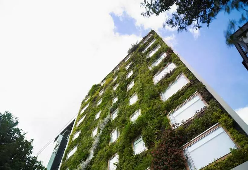 Fotos del hotel B3 Virrey:  18