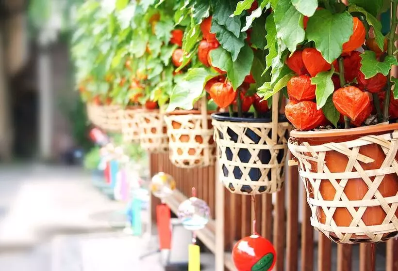 Fotos del hotel B:conte Asakusa:  3