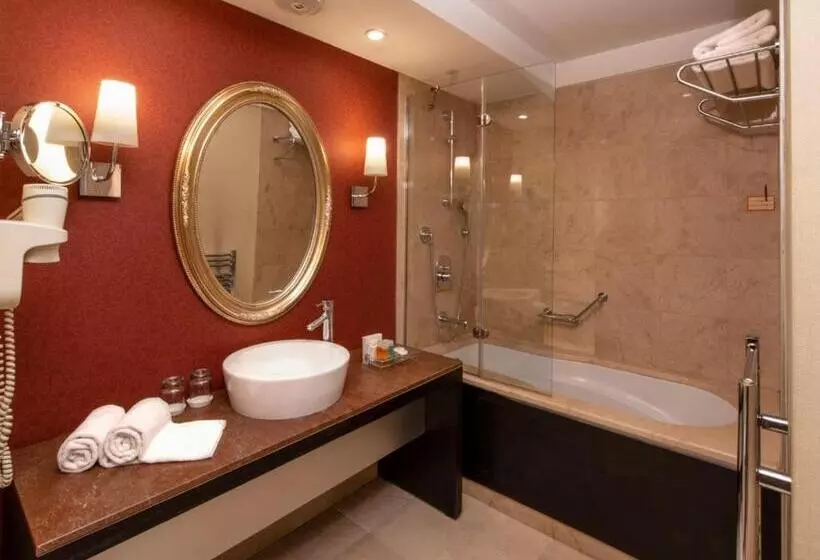 Fotos del hotel My City Agaoglu:  12