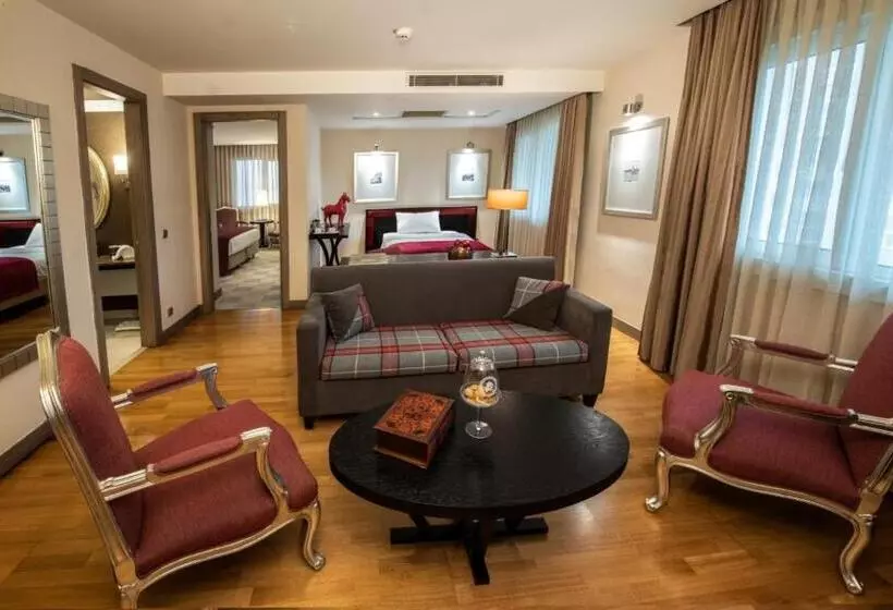 Fotos del hotel My City Agaoglu:  19