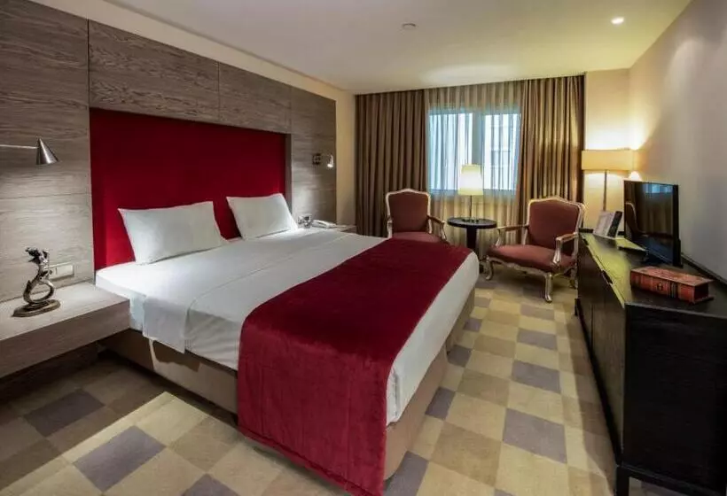 Fotos del hotel My City Agaoglu:  16