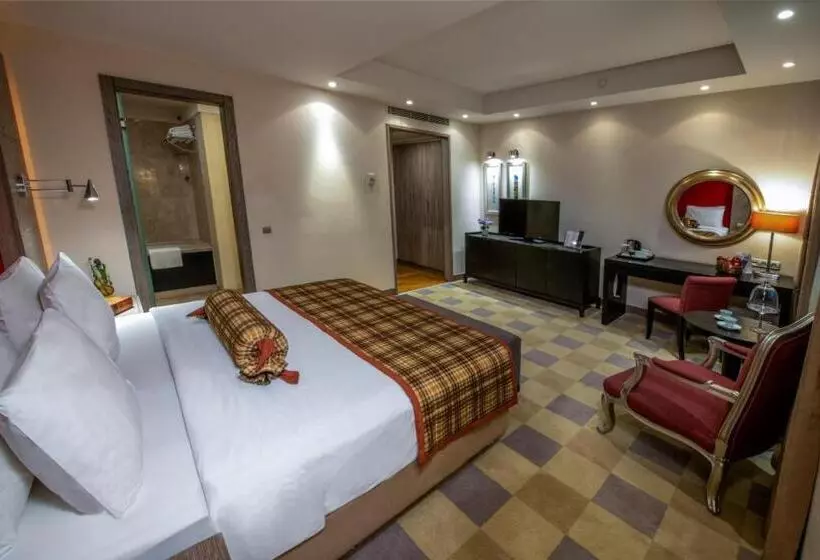 Fotos del hotel My City Agaoglu:  18