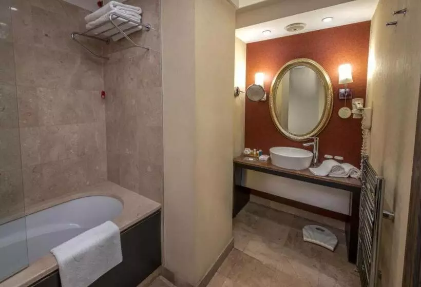 Fotos del hotel My City Agaoglu:  17