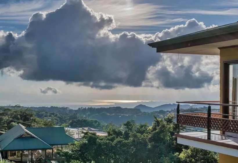 Fotos del hotel Ficus  Monteverde:  4