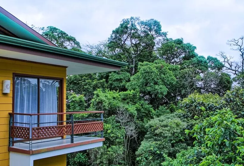 Fotos del hotel Ficus  Monteverde:  19